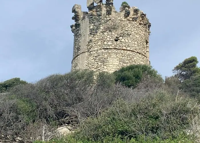 Domaine Amortella Saint-florent * サン・フロラン