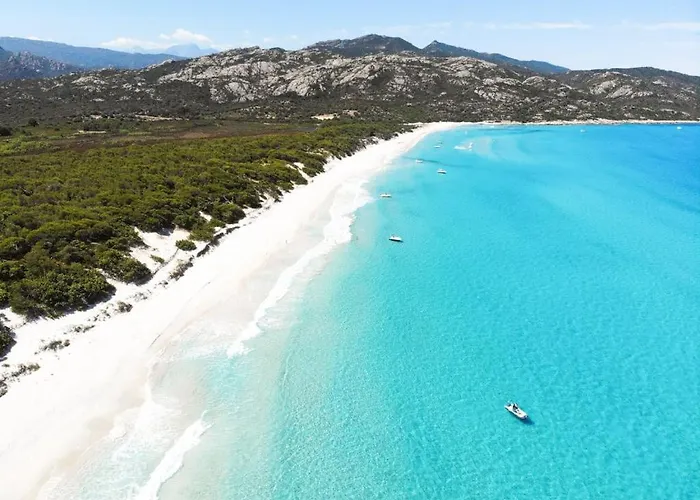 Domaine Amortella Saint-florent